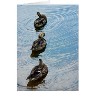 Cartão Patos em uma Fila