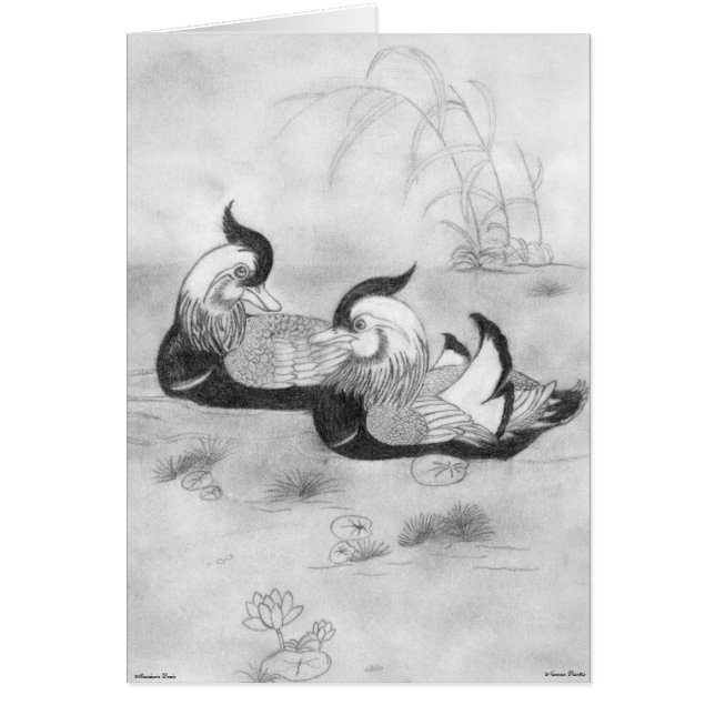 Cartão Patos Mandarin (Frente)