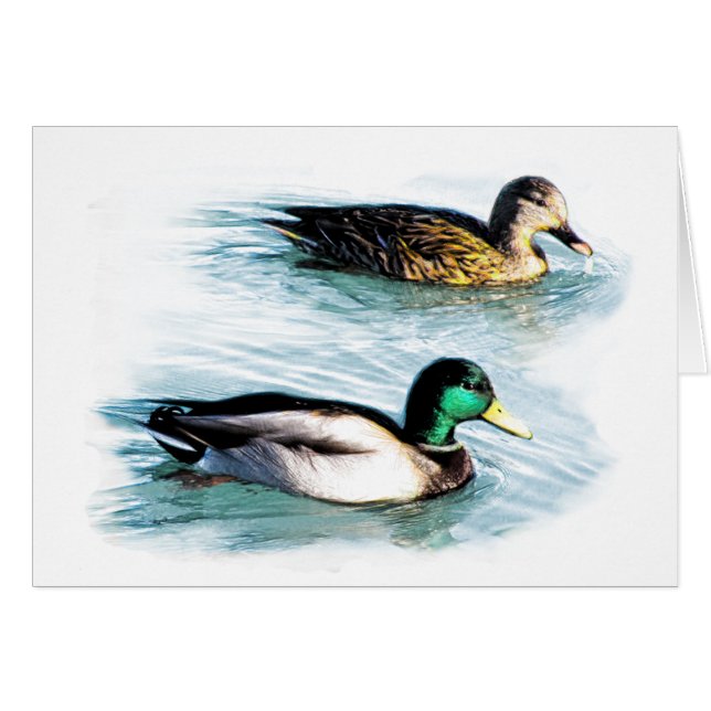 Cartão Patos no lago (Frente Horizontal)