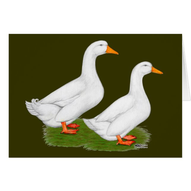 Cartão Patos: Pekins Branco (Frente horizontal)