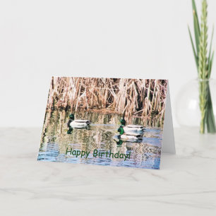 CARTÃO PATOS SELVAGENS