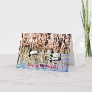 CARTÃO PATOS SELVAGENS