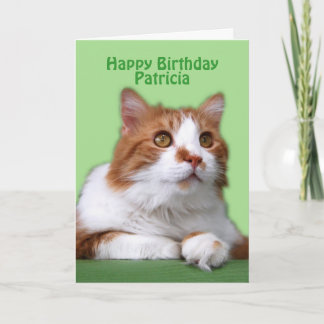 Cartão Patricia Happy Birthday Orange and White Cat