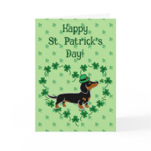 Patrick Day Black e Tan Dachshund Posicionando