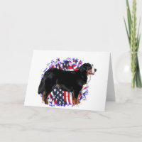 Patriota do cão de montanha de Bernese