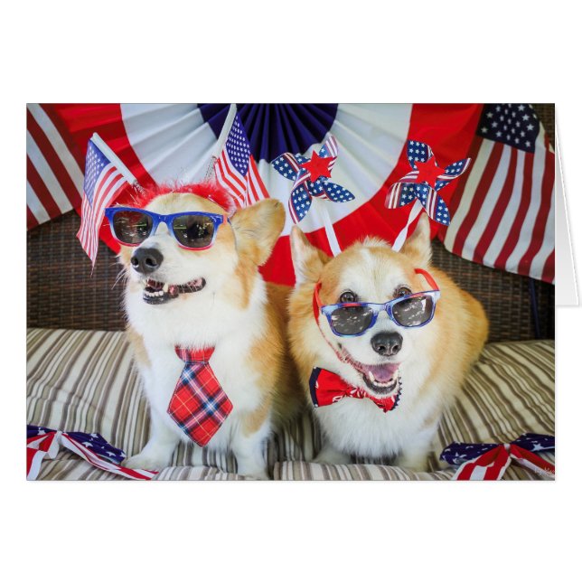 Cartão Patriotic Corgis - 4 de julho (Frente Horizontal)