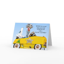 Patrulha do toxidendro