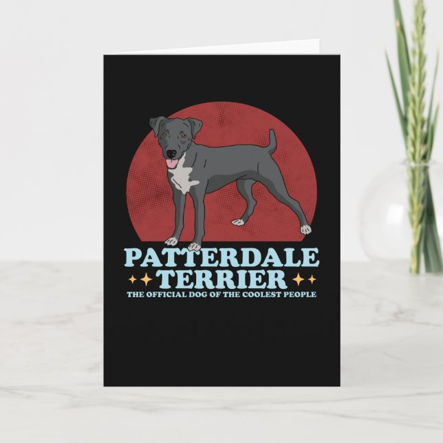 Cartão Patterdale Terrier Cão Dos Padrões Mais Frescos (Frente)