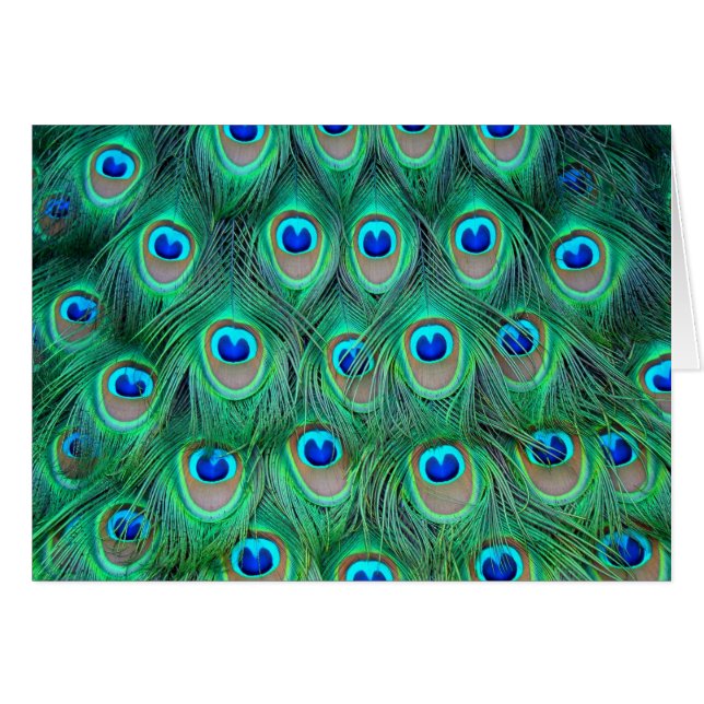 Cartão Pavão (Frente Horizontal)
