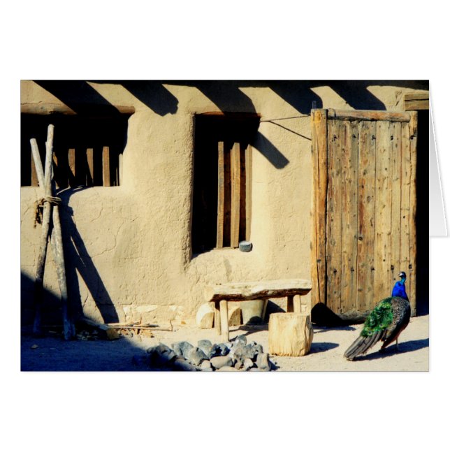 Cartão Pavão velho do forte das curvaturas (Frente Horizontal)