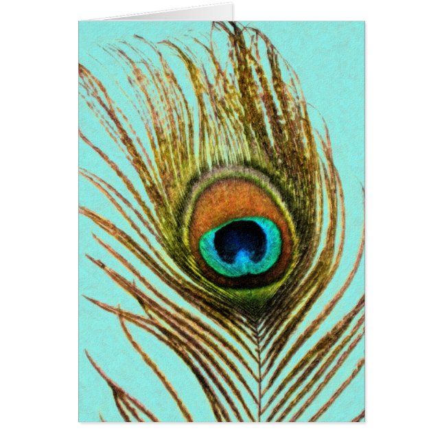 Cartão Pavock Feather Set 1107 (Frente)