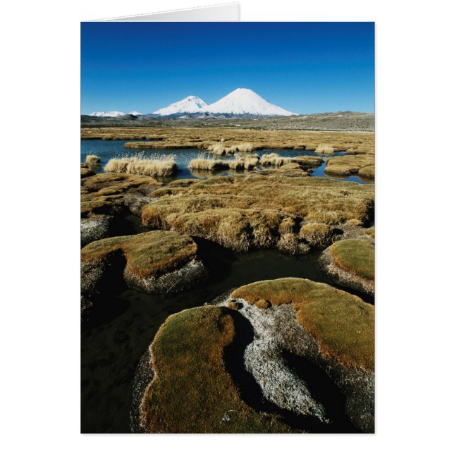 Cartão Payachalas Volcanos (Frente)