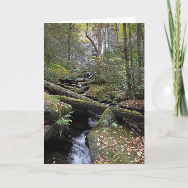 Cartão Paz (Frente)