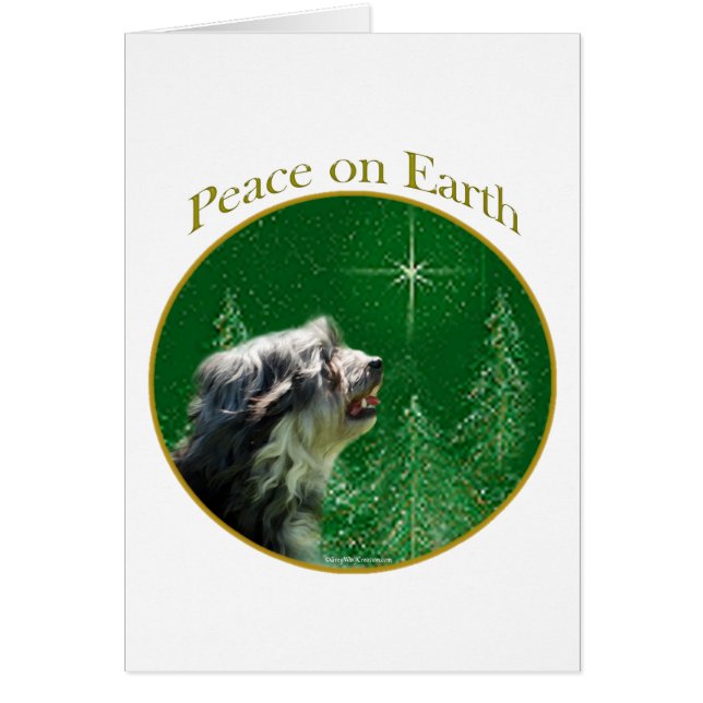 Cartão Paz de Lowchen (Frente)