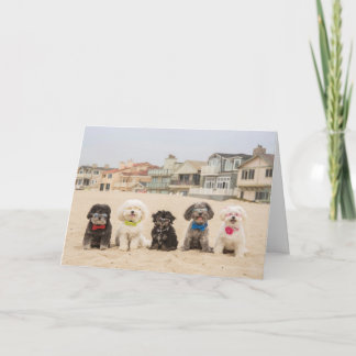 Cartão Paz na Praia