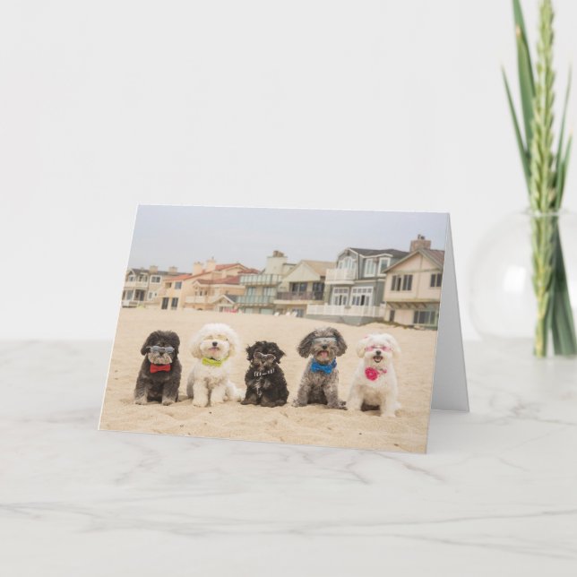 Cartão Paz na Praia (Frente)