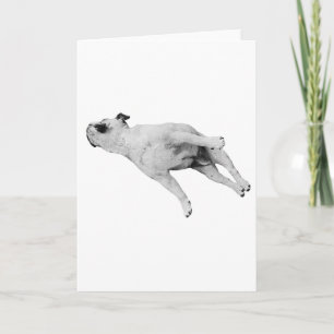 Cartão Paz seja com as suas patas