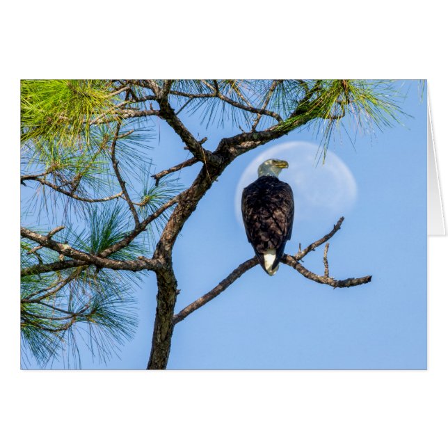 Cartão PB e a Lua (Frente Horizontal)