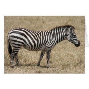 Cartão pé-zebra