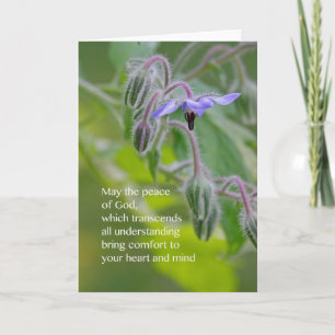 Cartão Peace of God Sympathy Card (Borage)