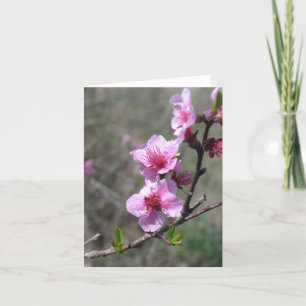 Cartão Peach Blossom - Customized