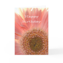 Peach Gerbera