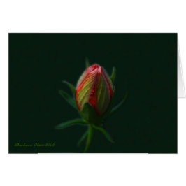 Cartão Peach Hibiscus flor-uma alma florescendo na nature