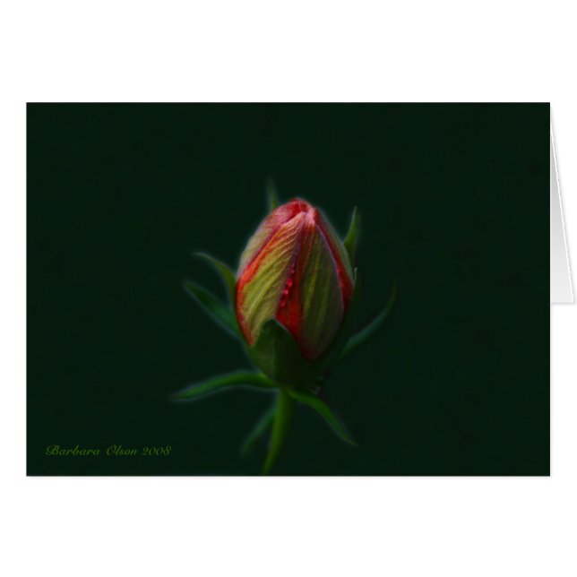 Cartão Peach Hibiscus flor-uma alma florescendo na nature (Frente Horizontal)