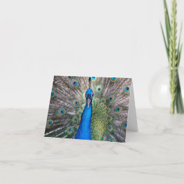 Cartão Peacock