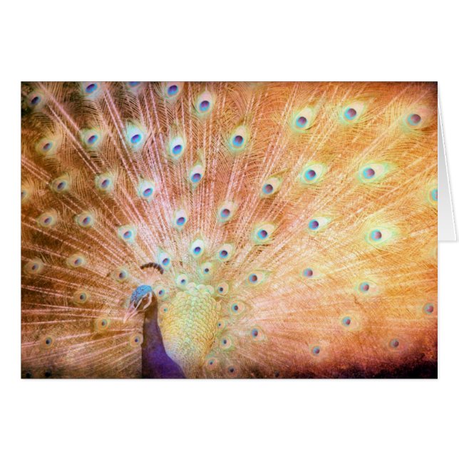 Cartão Peacock (Frente Horizontal)