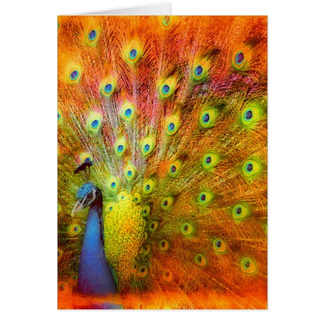 Cartão Peacock (Frente)