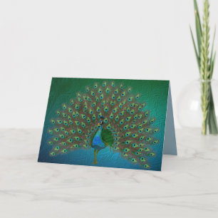 Cartão Peacock