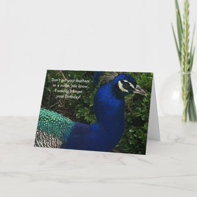 Cartão Peacock Fechar Aniversário (Frente)