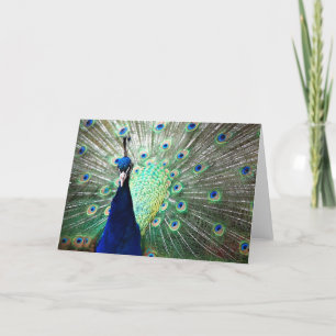 Cartão Peacock Note Card