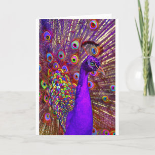 Cartão Peacock of a million colors