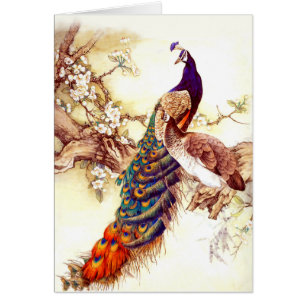 Cartão Peacock Royal