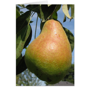 Cartão Pear delicioso