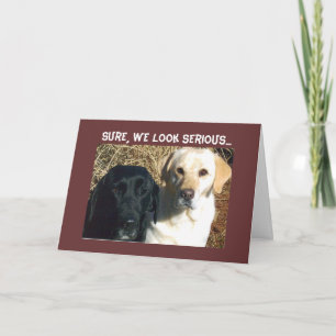 CARTÃO PEÇA POR PETISCOS LOGO BEM-VINDOS