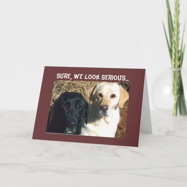 CARTÃO PEÇA POR PETISCOS LOGO BOAS VONTADES (Frente)