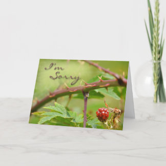 Cartão Peço desculpa por estar com medo