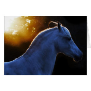 Cartão Pecos na luz da noite