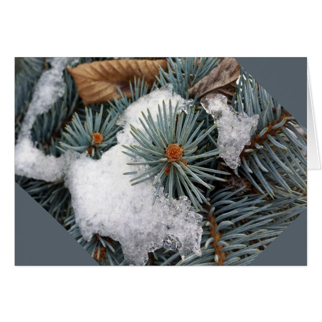 Cartão pedaço de neve (Frente Horizontal)