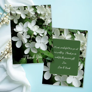 Cartão Pee Gee Hydrangea Flores Brancas Vazio Flat