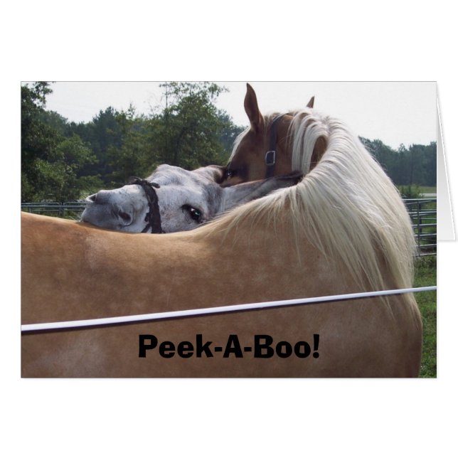 Cartão Peek-A-Boo! (Frente Horizontal)