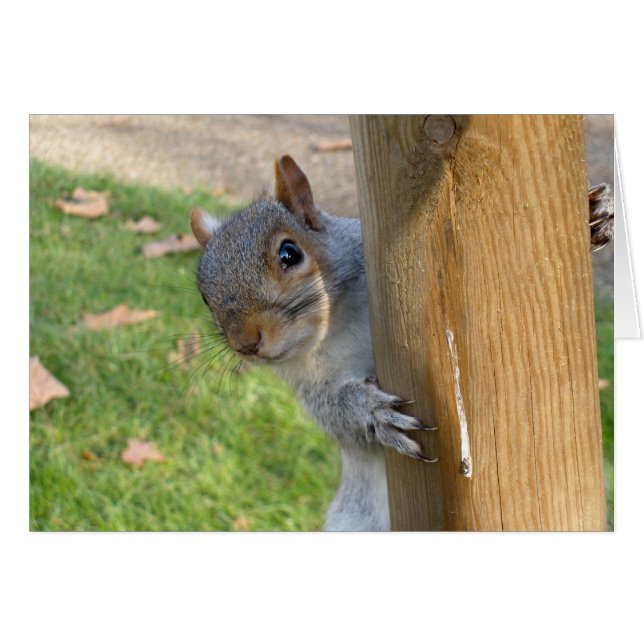 Cartão Peek-a-Boo! (Frente horizontal)