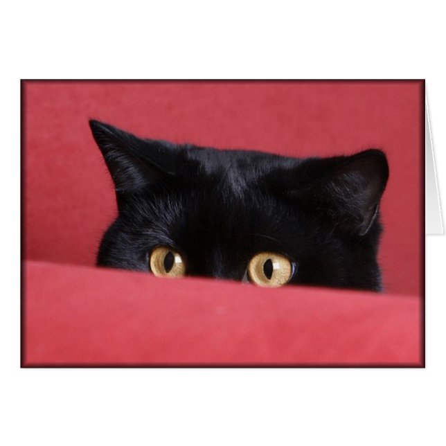 Cartão Peek-a-Boo (Frente Horizontal)