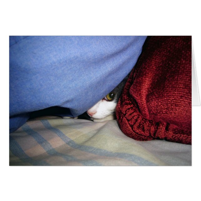 Cartão Peek a Boo (Frente Horizontal)