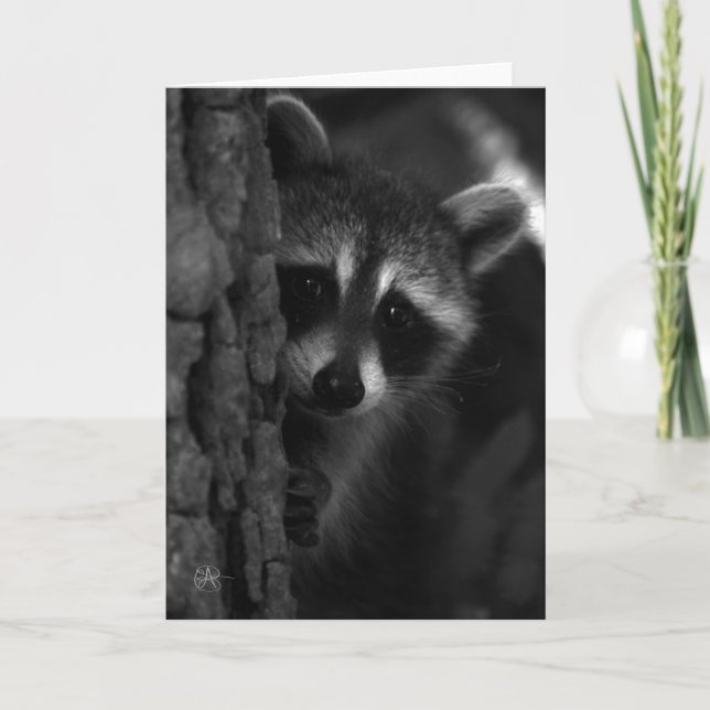 Cartão Peek-a-boo Raccoon (Frente)
