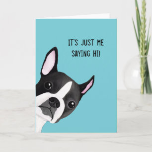 Cartão Peeking Boston Terrier Illustrated Greeting Card