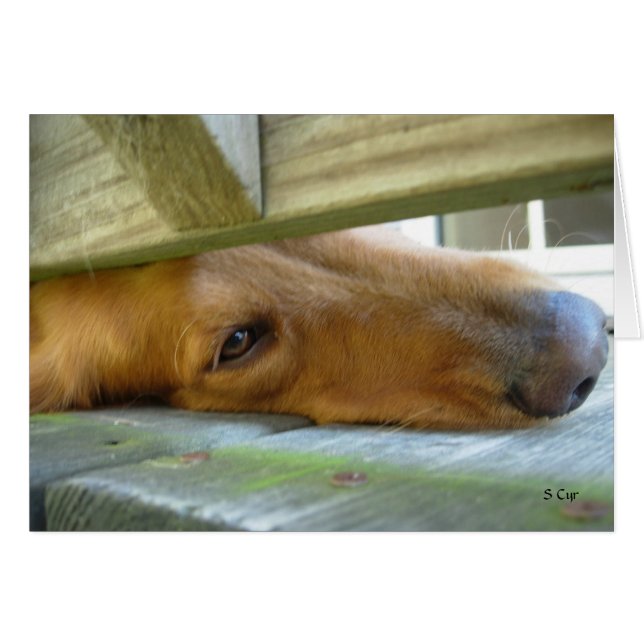 Cartão Peeking, S Cyr (Frente Horizontal)